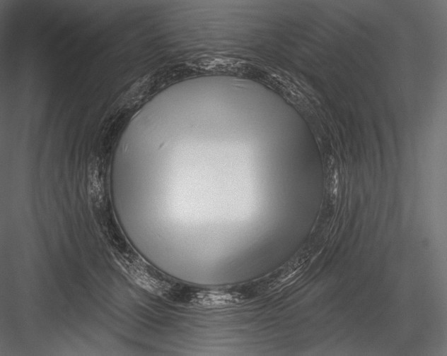 X0000082960607200702222342