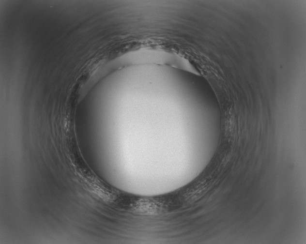 X0000082960608200702222342