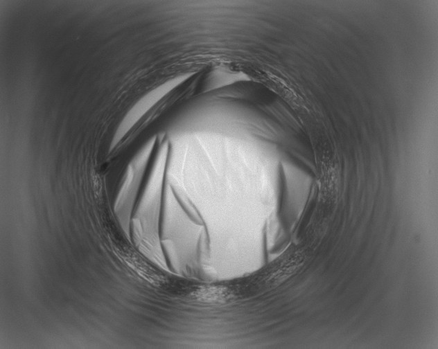 X0000082960609200702222342