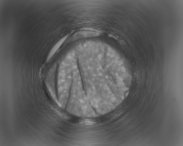 X0000082960610200702222342