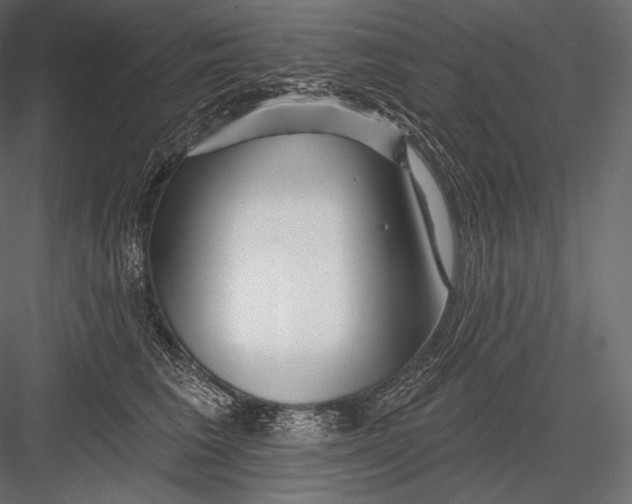 X0000082960613200702222342