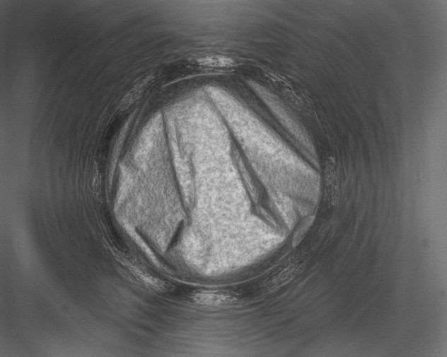 X0000082960614200702222342