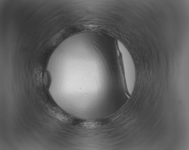 X0000082960615200702222342