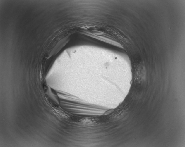 X0000082960616200702222342