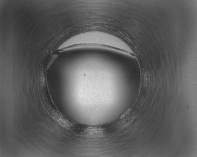 X0000082960617200702222342