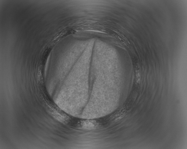 X0000082960618200702222341