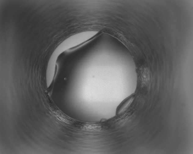 X0000082960619200702222341