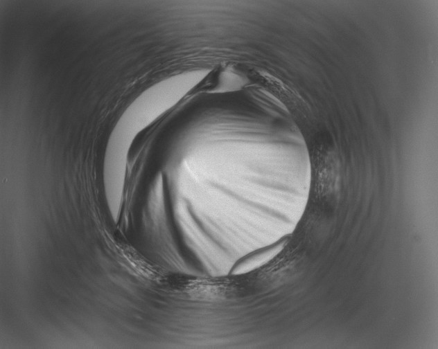 X0000082960620200702222341