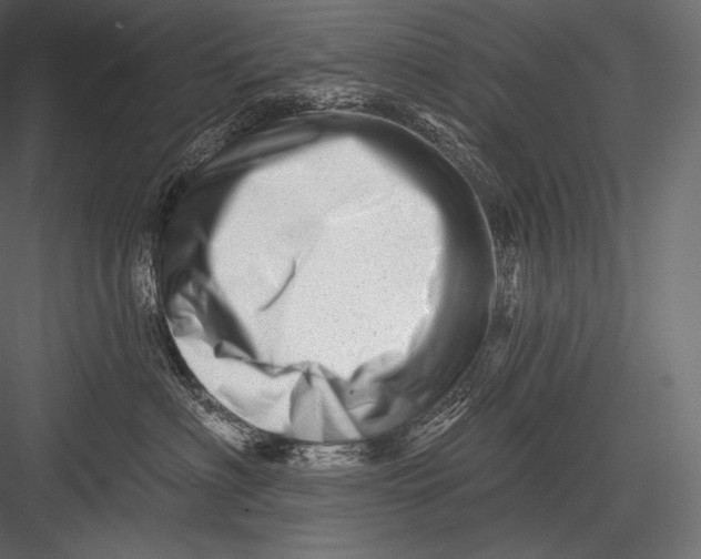 X0000082960622200702222341