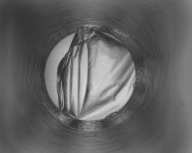 X0000082960623200702222341