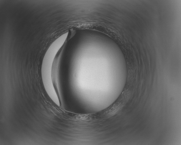 X0000082960624200702222341