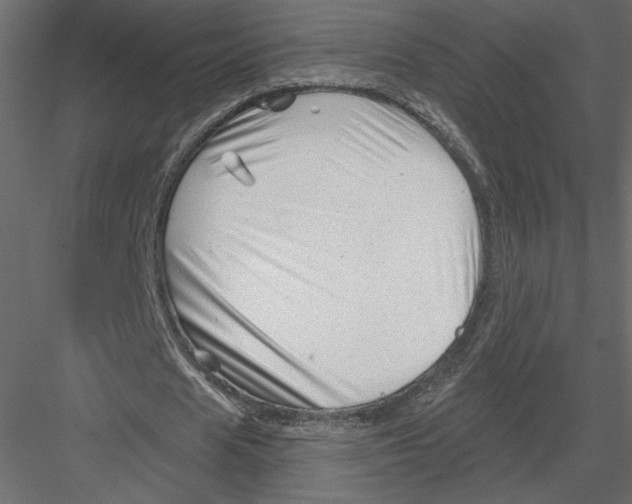 X0000082960625200702222341