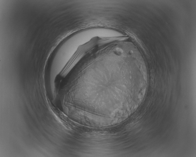 X0000082960626200702222341