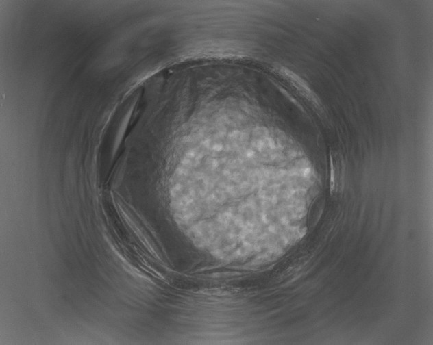 X0000082960627200702222341