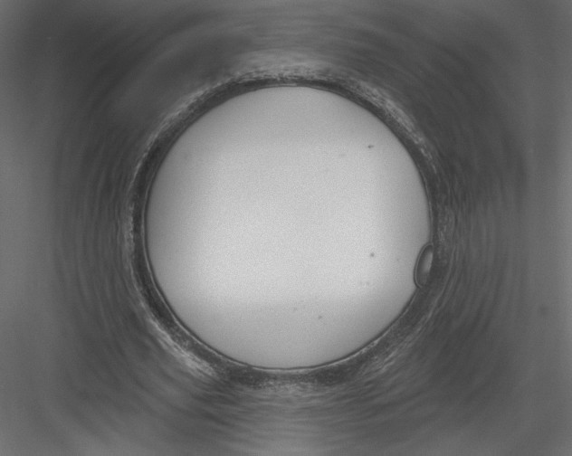 X0000082960629200702222341