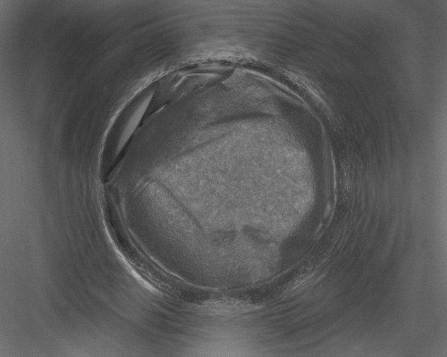 X0000082960630200702222341