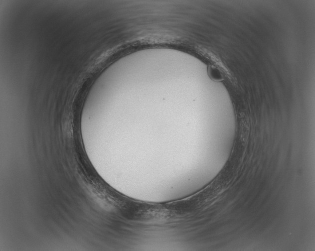 X0000082960631200702222341