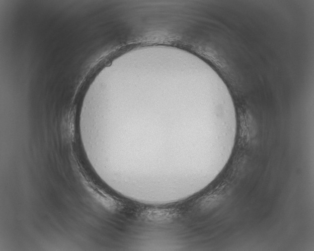 X0000082960632200702222341