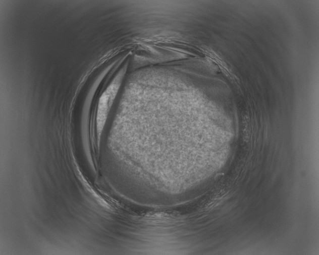 X0000082960634200702222341