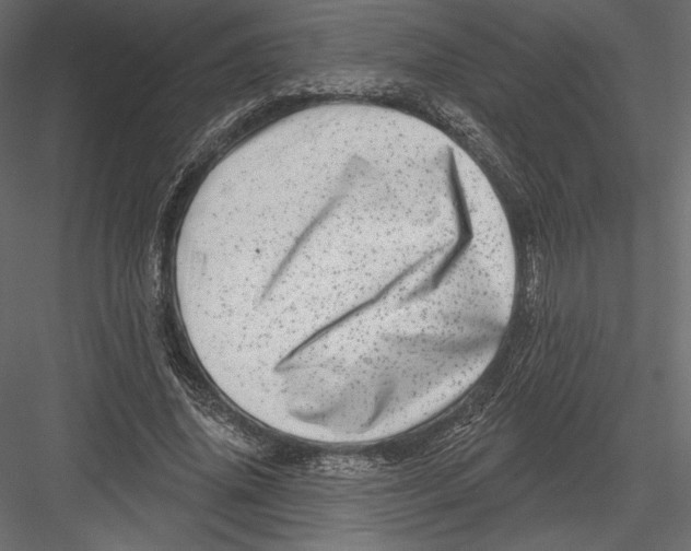 X0000082960636200702222341