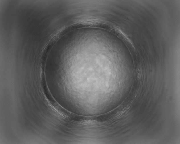 X0000082960637200702222341