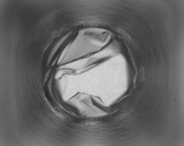 X0000082960638200702222341