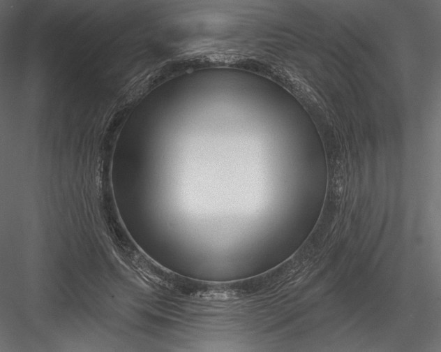 X0000082960639200702222341