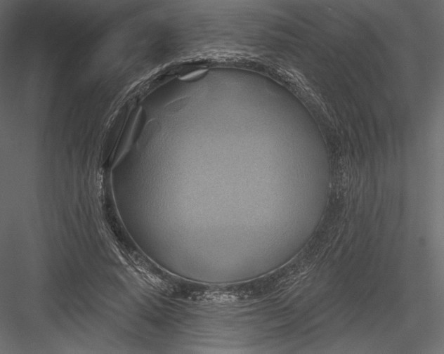 X0000082960640200702222341