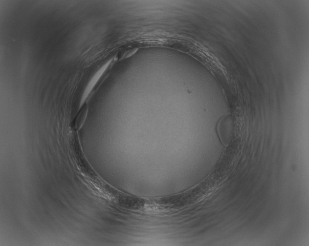 X0000082960641200702222341