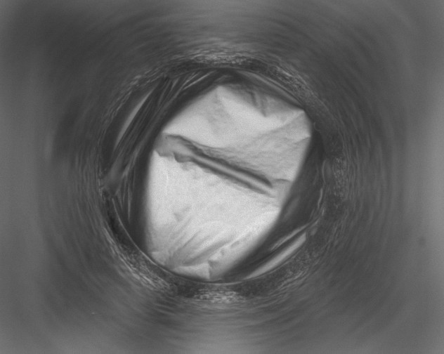 X0000082960642200702222341