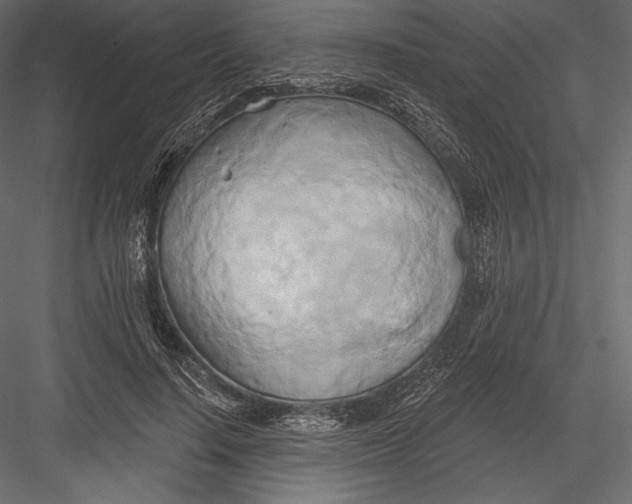 X0000082960644200702222341