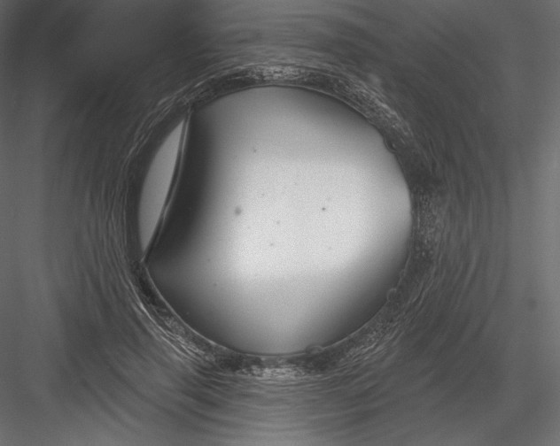 X0000082960645200702222341