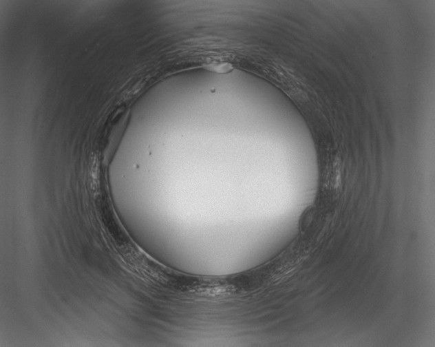 X0000082960646200702222341