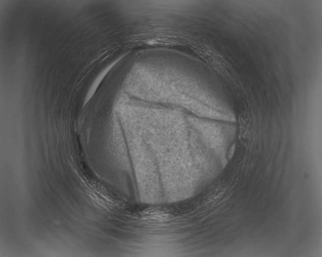 X0000082960648200702222341