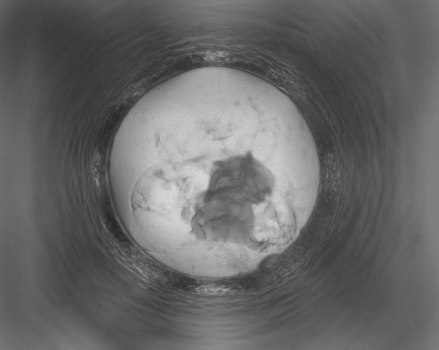 X0000082960650200702222341