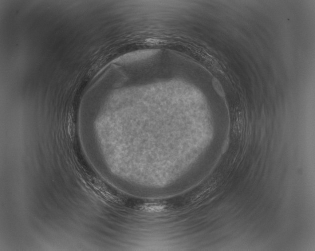 X0000082960651200702222341