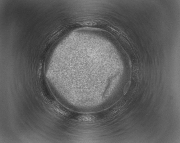 X0000082960652200702222341