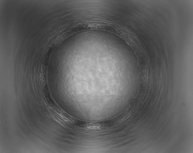 X0000082960653200702222341