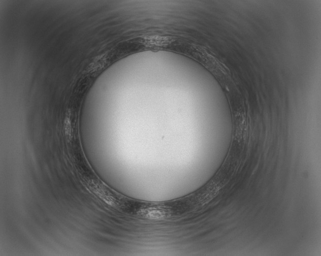 X0000082960655200702222341