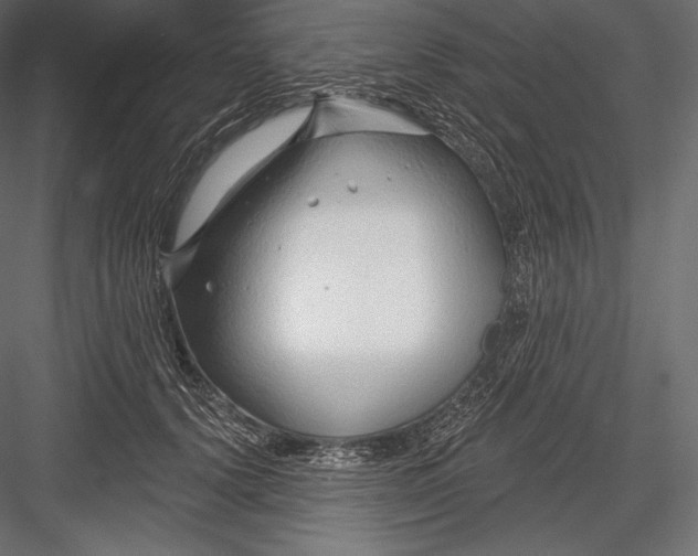 X0000082960656200702222341