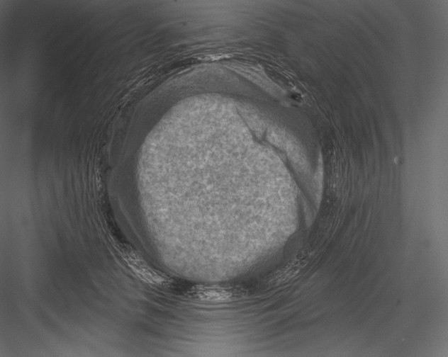 X0000082960658200702222341