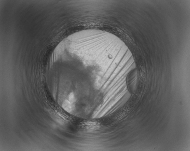 X0000082960659200702222341