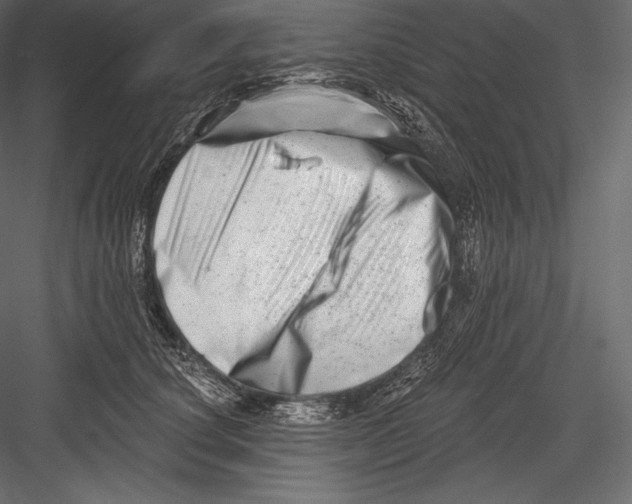 X0000082960660200702222341