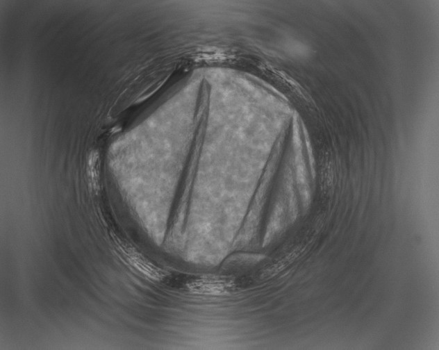 X0000082960661200702222341