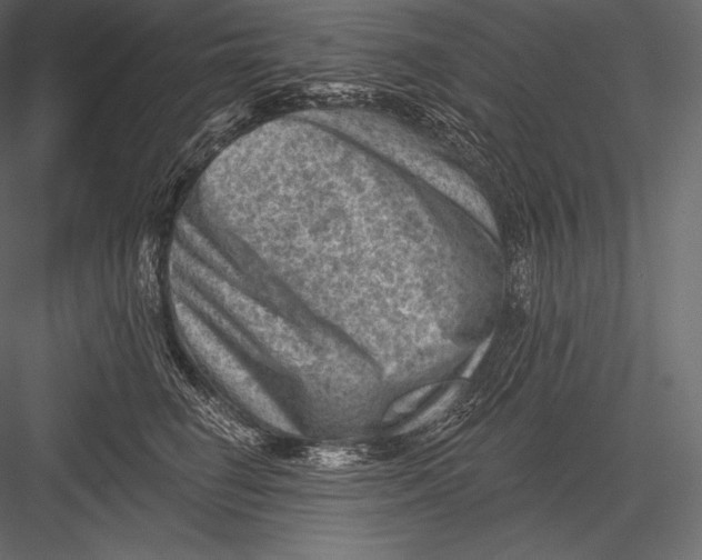 X0000082960662200702222341