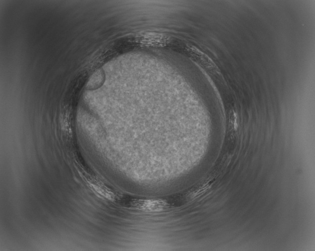 X0000082960663200702222341