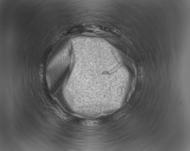 X0000082960664200702222341