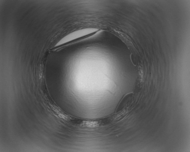 X0000082960665200702222341