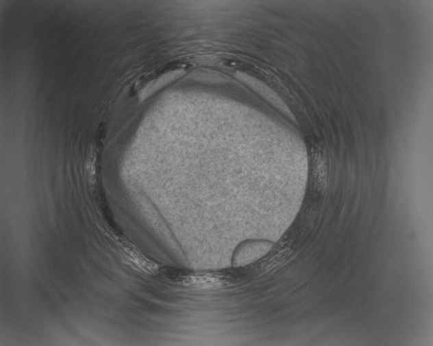 X0000082960668200702222341