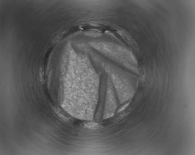 X0000082960669200702222341